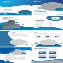 بروشور، brushor